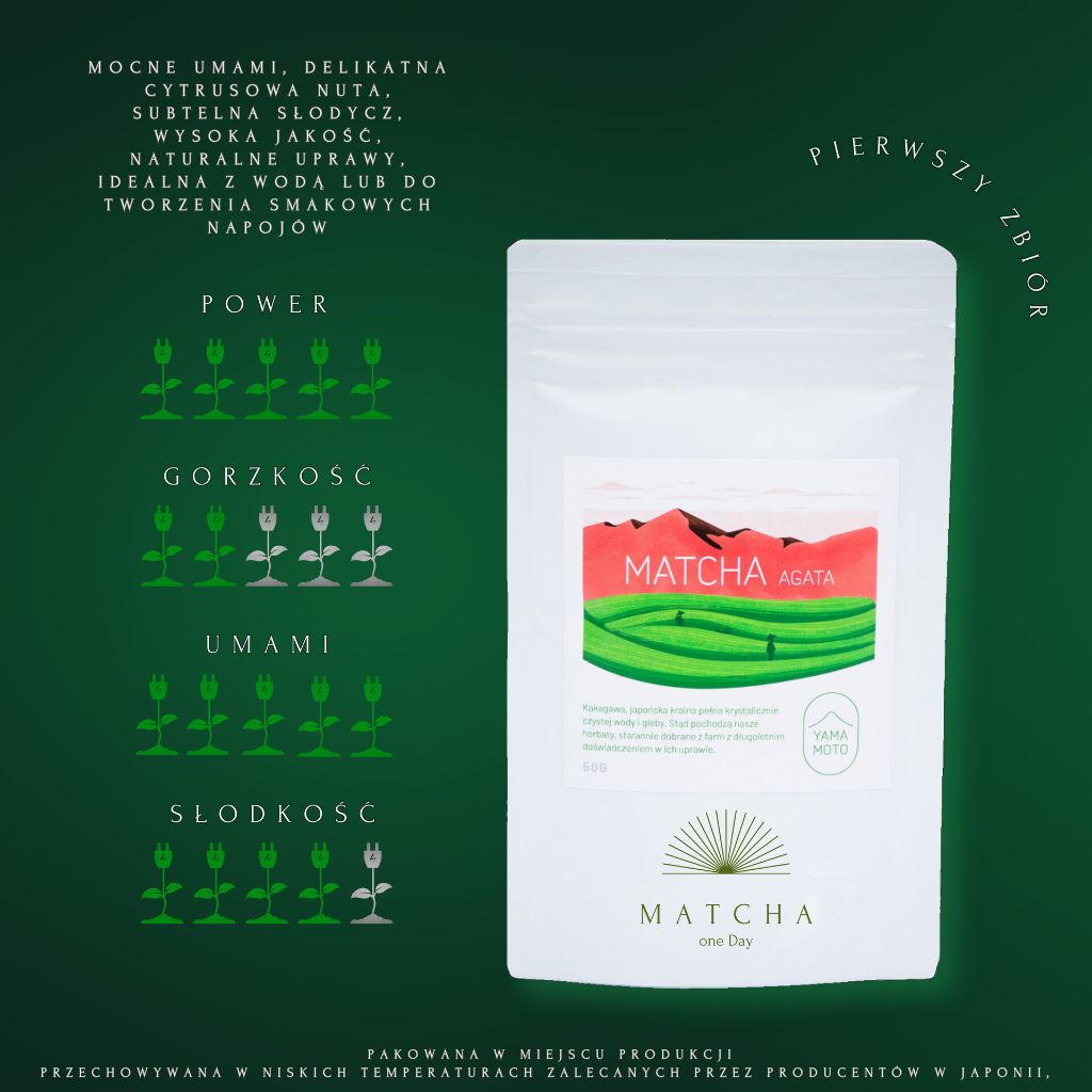 zdjęcie produktu wraz z opisem