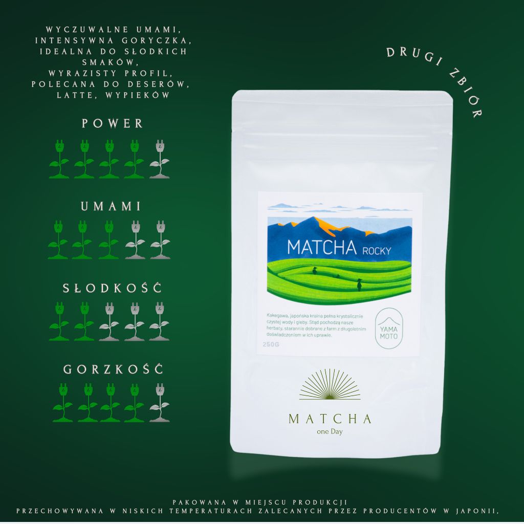 zdjęcie produktu wraz z opisem